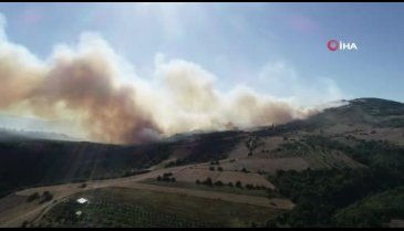 Bursa Yenişehir'deki orman yangını drone ile böyle görüntülendi