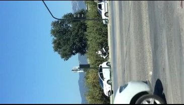 Bursa'da trafik magandaları iş başında!  (2)