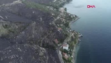 Marmara Adası'ndaki orman yangınında 80 hektar kül oldu