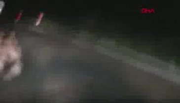 Otomobilin önüne ayı çıktı