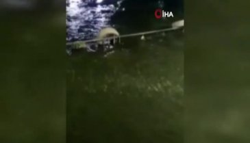 Tunceli'de su samuru görüntülendi