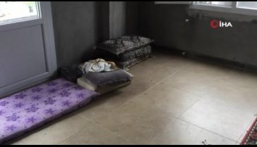 Daha ismi bile konulmamıştı, ölü bulundu
