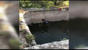 Bursa'da sulama havuzuna düşen köpek böyle kurtarıldı