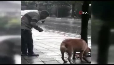 Bursa'da sağanak yağmurda köpeği yumrukladı
