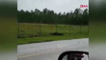 Timsah hava üssünün tellerine tırmanırken görüntülendi