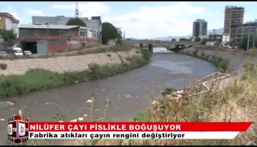 Bursa'da bir zamanlar suyundan içilen Nilüfer Çayı'nın şimdilerde yanına yaklaşılamıyor! (ÖZEL HABER)