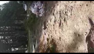 Bursa Uludağ'ın sefasını piknikçiler sürüyor, cefasını doğa çekiyor! (ÖZEL HABER)