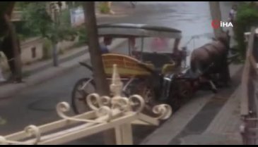 Yürek burkan görüntü! Bitkin düşen at yere yığıldı