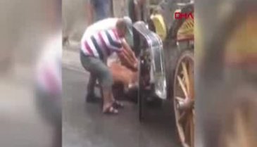 Büyakada'da bir at daha baygınlık geçirdi