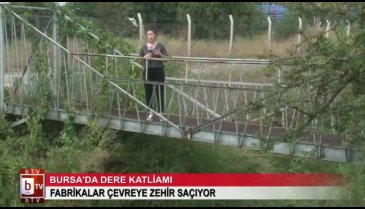 Bursa'da bu görüntüye kim dur diyecek! Dere kaderine terk edildi (ÖZEL HABER)