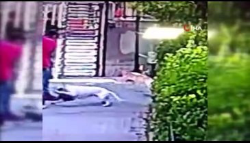 Pitbull dehşeti: O anlar saniye saniye görüntülendi