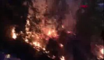 Bursa'da jandarmanın dikkati sayesinde orman yangını söndürüldü