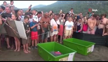 O anı fotoğraflamak için birbirleriyle yarıştılar!