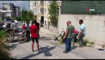 Bursa'da yaralı atı sahibinin elinden izne gelen JÖH personeli kurtardı