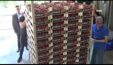 Bursa İnegöl'de ilk kez çilek ihracatı yapıldı