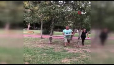 Sokak köpeğine kalasla saldırdı