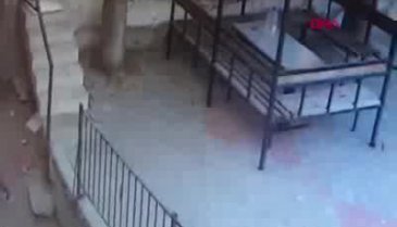 5 kediyi öldüren köpeğe sahibinden dayak kamerada