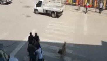 Pompalı tüfekle dehşet saçtı; linç edilmek istendi