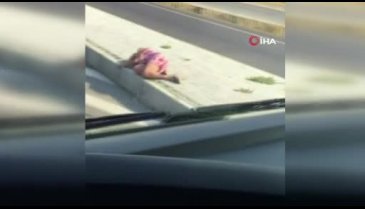 Akılalmaz olay! Karayolunda kaldırıma yatıp uyudu!
