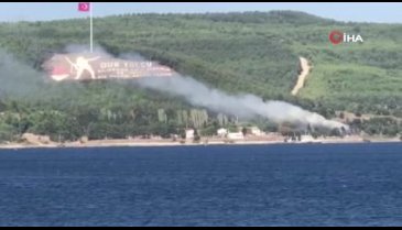 Çanakkale'de orman yangını