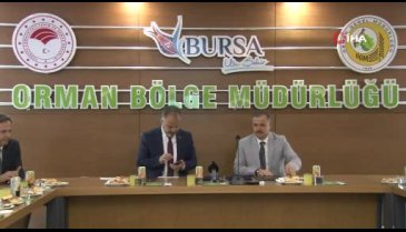 Bursa menşeili ağaçlar küllerinden doğacak