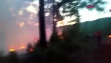 Bursa Orhaneli'deki yangın büyümeden söndürüldü