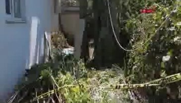 Başı, kestiği dal ile ağacın arasına sıkışıp öldü