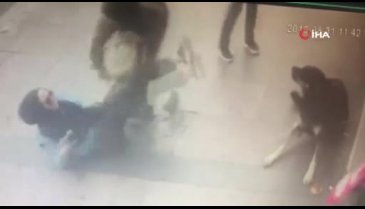 Turist kadın sevdiği köpek tarafından ısırıldı