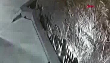 Ünlü manken ve annesi böyle darp etmiş!