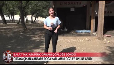 Bursa'daki Balat Atatürk Ormanı çöplüğe döndü! (ÖZEL HABER)