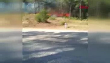 Bursa Orhaneli'de orman yangını!