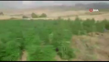 Terör örgütü PKK'nın finans kaynağına darbe