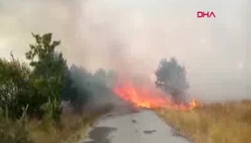 Küçükçekmece'de korkutan yangın