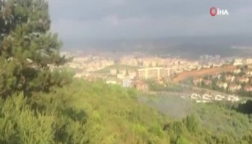 Pendik'teki orman yangınıyla ilgili yeni gelişme: Gözaltına alındı