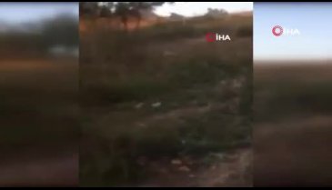 Bursa'da toprağa gömülü 6 bin ölü tavuk bulundu