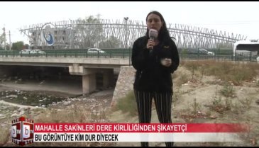 Bursa'da Otosansit deresi kaderine terk edildi! (ÖZEL HABER)