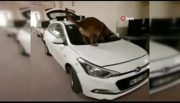 Bursa'da arabanın cam suyu kabından uyuşturucu fışkırdı
