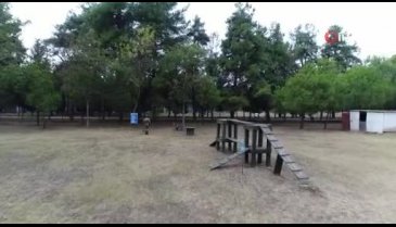 Sınır ötesi operasyonlara yerli ırk köpek! Bursa'da eğitiliyor