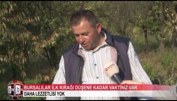 Bursalılar ilk kırağı düşüne kadar vaktiniz var! Çilek hala çiçek açıyor... (ÖZEL HABER)