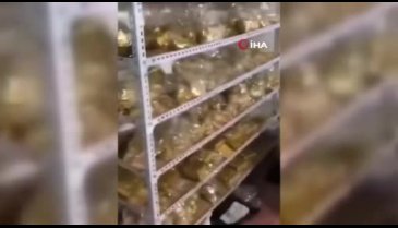 Çin'de eski belediye başkanın evinde tonlarca altın bulundu