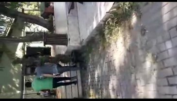 Bursa'da kedinin üzerinde sigara söndürdüler! - 2 (ÖZEL HABER)