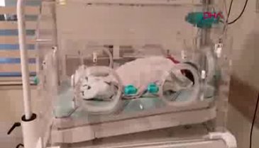Çöpe atılan bebek köpekler parçalamadan kurtarıldı