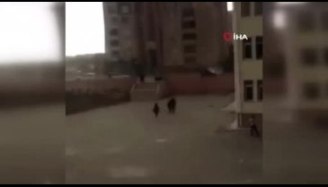 Öğrenciler faciadan kıl payı kurtuldu