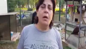 Bursa'da yakılarak telef edilen kedi bulundu!