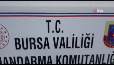 Bursa'da 100 bin dolarlık mozaik tablo ele geçirildi