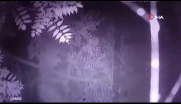 Genç kıza taciz iddiası