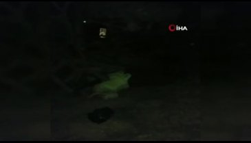 Bursa'da çifçinin feci sonu!