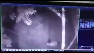Cinsel tacize uğradığı anın videosunu internetten paylaştı