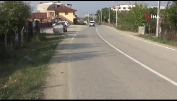 Bursa'da meyve bahçesinde daldı: 3 yaralı