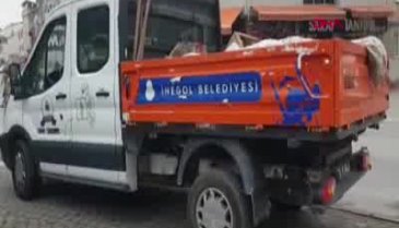 Bursa'da, sokağa atılmış kedi başı bulundu